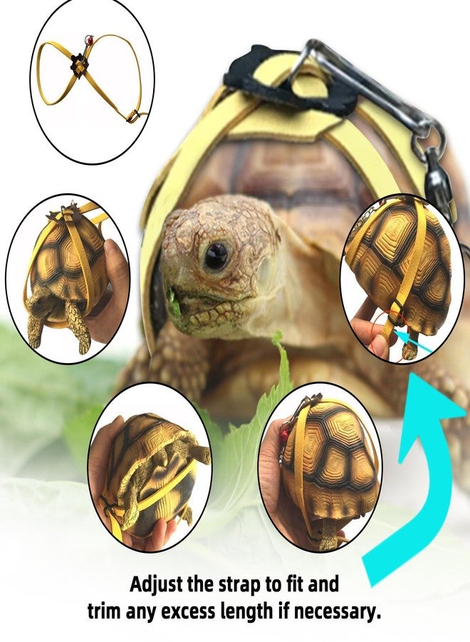 HOKABLE Pet Turtle Leather Harness and Leash - Adjustable Control Leash for Tortoise Supplies (S, Blue) - Image 4